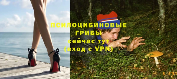 твердый Алзамай