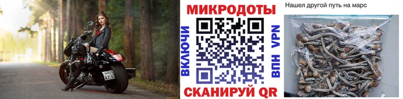 купить наркотик  мега зеркало  Галлюциногенные грибы Psilocybine cubensis  Сарапул 