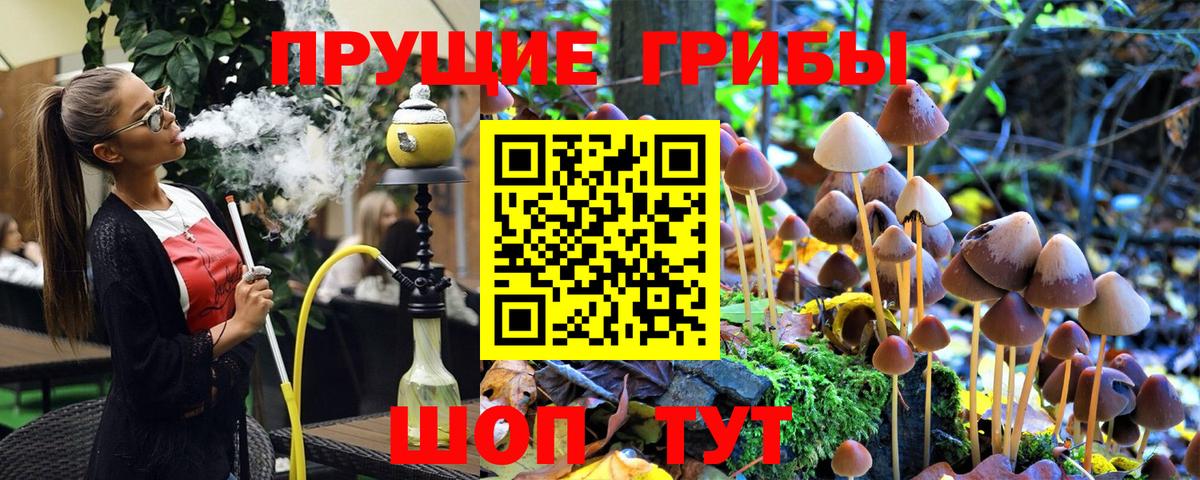 Сарапул  Псилоцибиновые грибы прущие грибы  Вход с VPN  Псилоцибиновые грибы Psilocybe 